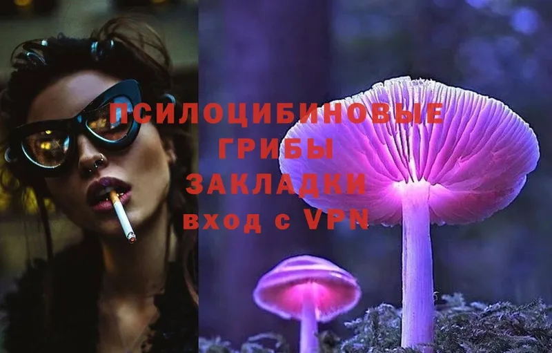 Галлюциногенные грибы MAGIC MUSHROOMS Арамиль